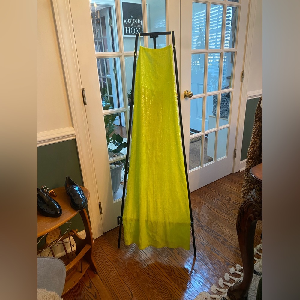 Zara dress